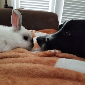 Meet your Posher, Manny